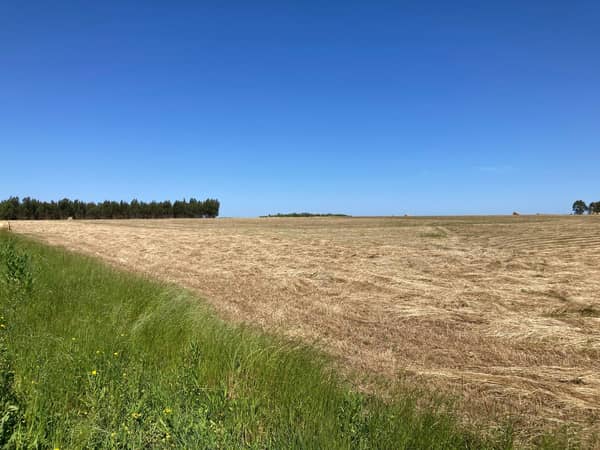 23,5 hás hectáreas. Agrícola en Canelones Uruguay